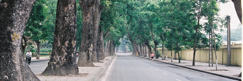 Zymphonies Free Banner Image